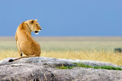 Ngorongoro+Crater 2