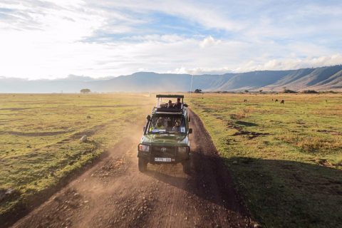 Ngorongoro+Crater