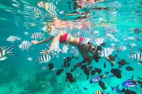 snorkeling 2